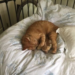 Meet your Posher, Tara