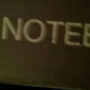 Meet your Posher, Shaneen