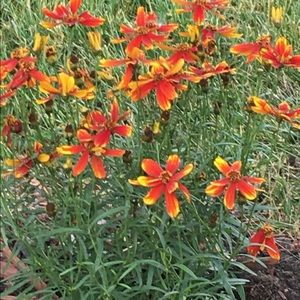 Meet your Posher, Aubrey