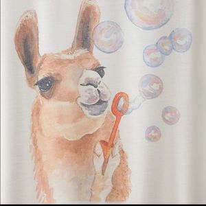 Meet your Posher, Callie