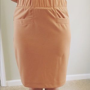 Mauve Pencil Skirt With Exposed Zipper