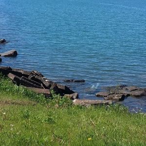 Meet your Posher, Marcia