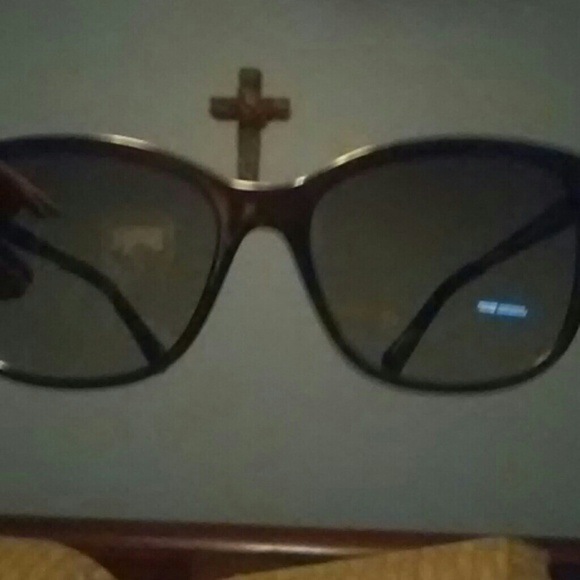 Fossil Shades - Picture 1 of 1