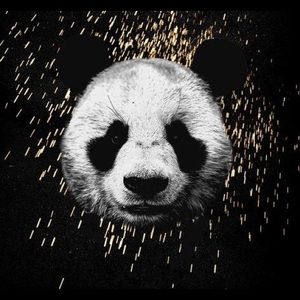 Meet your Posher, Candyce