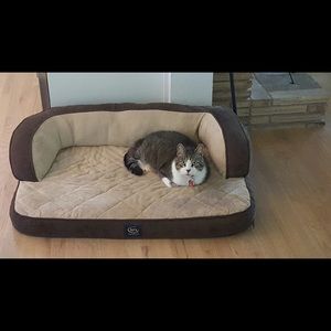 Meet your Posher, Anne