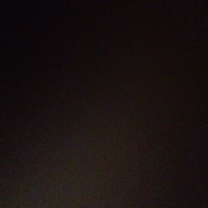 Meet your Posher, Georgie