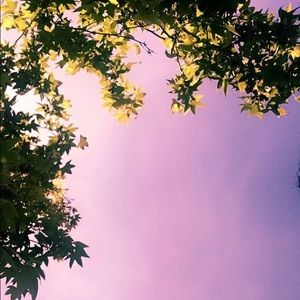 Meet your Posher, Diana