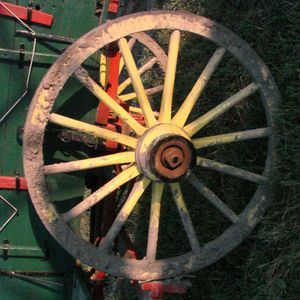 Meet your Posher, Gina