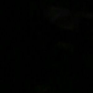 Meet your Posher, Dan