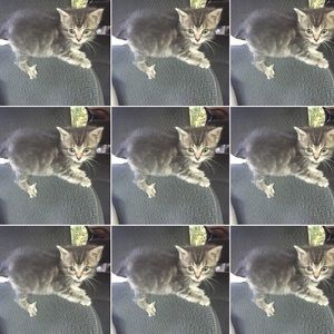 Meet your Posher, Ali