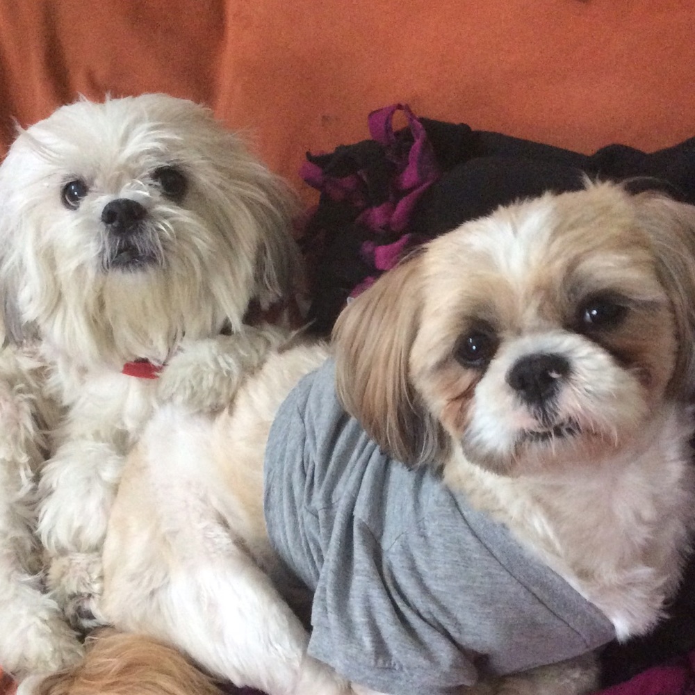 Meet your Posher! I’m a Poshmark Ambassador!