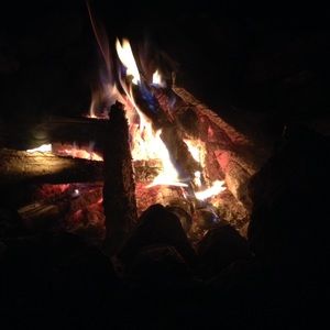 Meet your Posher, Avery