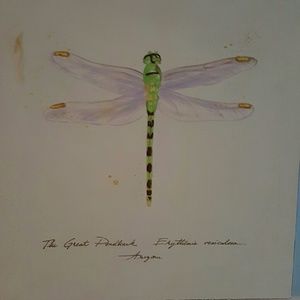 Meet your Posher, Bobbie