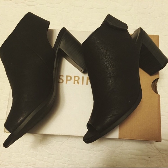 Call it Spring Fongara