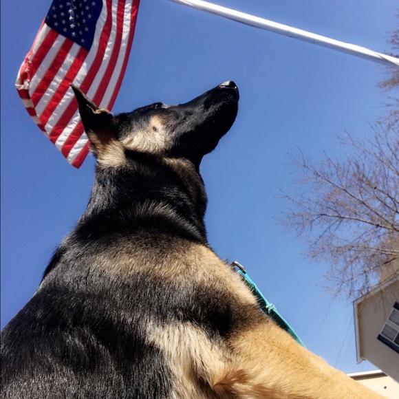 💋Meet your Posher, Destiny💋 Posh ambassador 💙 - Picture 4 of 8