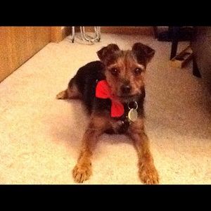 Meet your Posher, Jenna