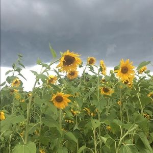 Meet your Posher, Hailey