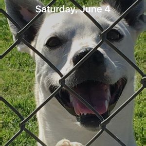 Meet your Posher, Anne