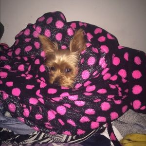 Meet your Posher, Leslie