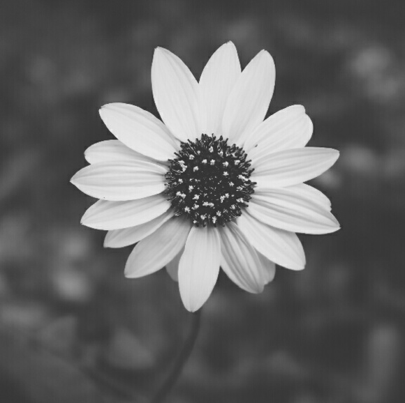 Meet your Posher, Michelle - Picture 2 of 2