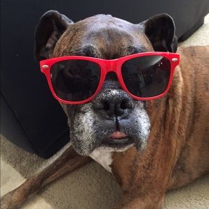 Meet your Posher, Ava