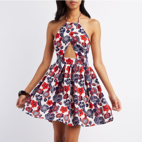 Glamorous floral flirty sexy skater dress