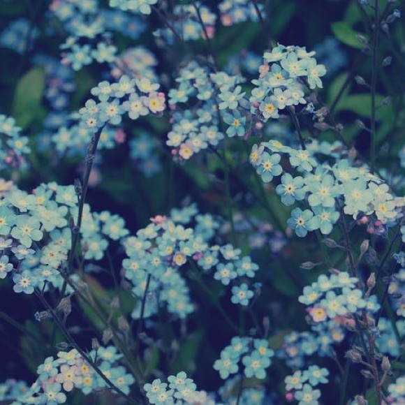 💙