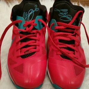 lebron james 9 low