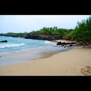 Meet your Posher, Shane