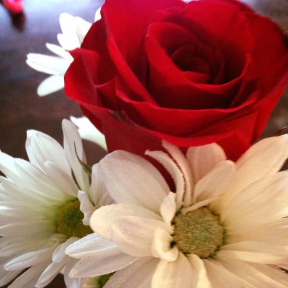 Meet your Posher, Amy - Picture 1 of 1