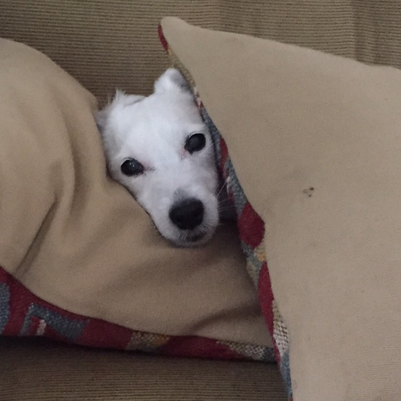 Meet your Posher, Alida