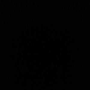 Meet your Posher, Charlotte