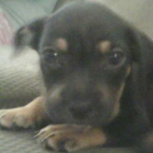 Meet your Posher, Jackie