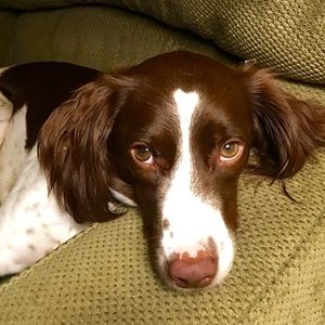 Meet your Posher, Deb