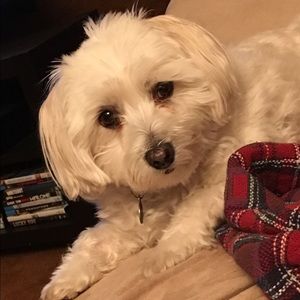 Meet your Posher, Deborah