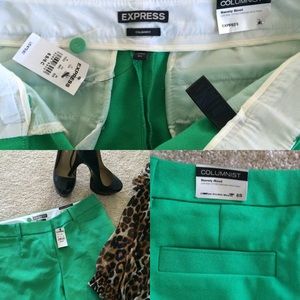 Express Columnist Pants