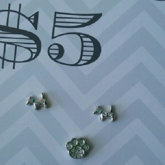 Locket charms: various!! 💎Bling .