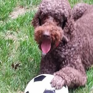 Meet your Posher, Deb