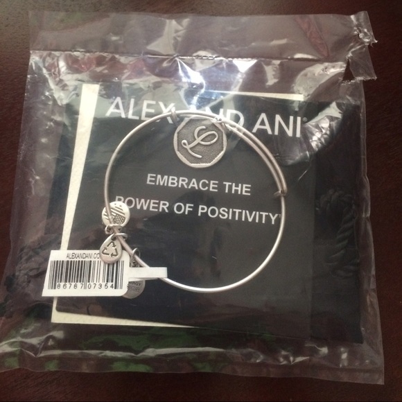 Alex & Ani Bracelet