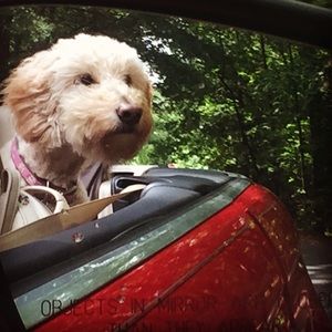 Meet your Posher, Jennifer