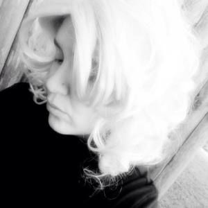 Meet your Posher, Daisy