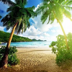 Meet your Posher, Georgia