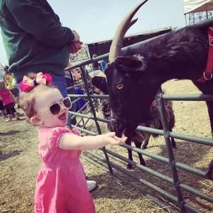 Meet your Posher, Marlene