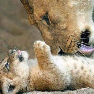 Meet your Posher, Tammy