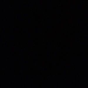 Meet your Posher, Tamia