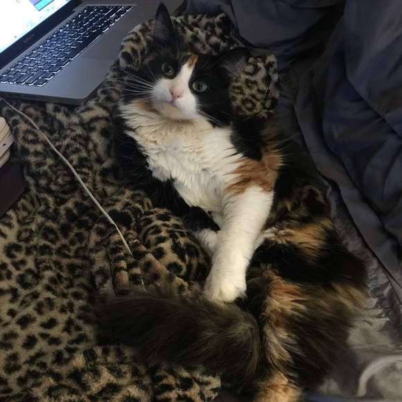 Meet your Posher, Danielle - Picture 2 of 3