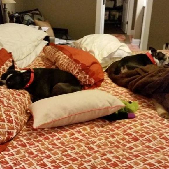 Meet your Posher, Charlotte