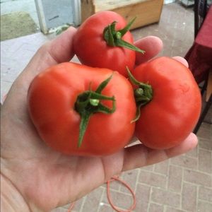 Meet your Posher, Denise