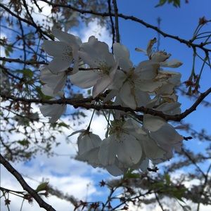 Meet your Posher, Jingjing