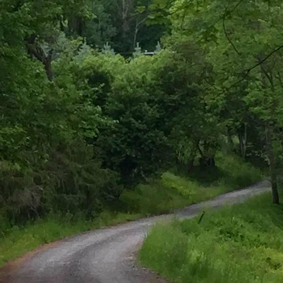 Meet your Posher, Dara